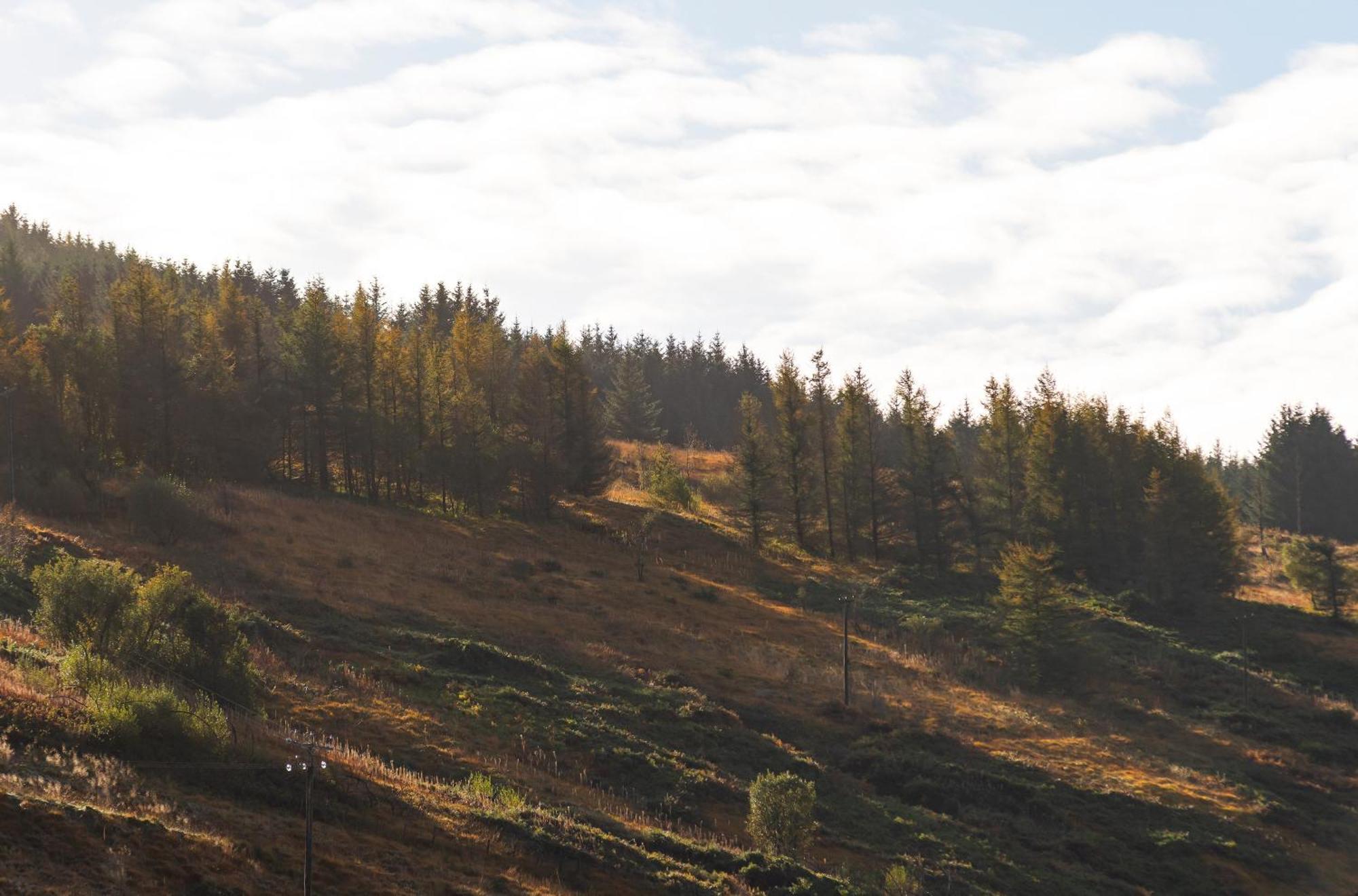 Glyncorrwg Riverside Great House In The Afan Forest Bike Park By Staystaycations מראה חיצוני תמונה